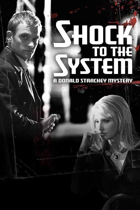 Shock to the System: A Donald Strachey Mystery
